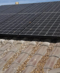 Pigeon nesting under solar panels creates a big mess