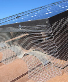 Solar panel pigeon proofing should be clean