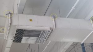 FlockOff installed along ceiling duct work to prevent nesting or roosting
