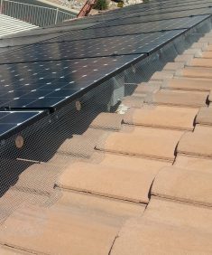 After cleaning and bird proofing solar panels with long lasting screening