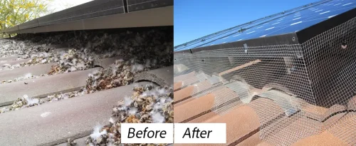 before-after